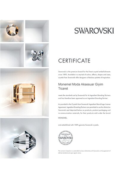 Monemel Taşlı Küpe