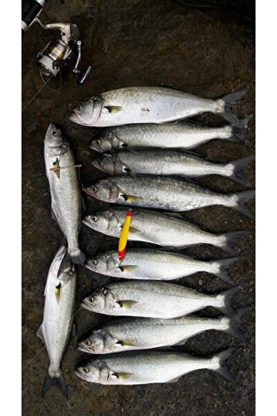 Lider Sahte Balık 12 Cm 28 Gram Set