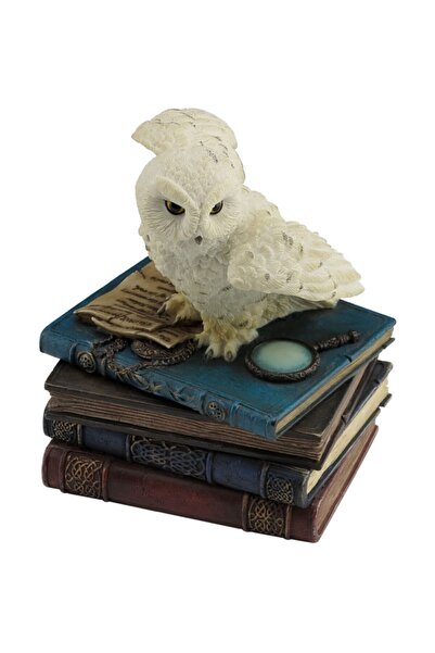 Wise Veronese Series – Decorative Owl Box 10X9X12 cm |   Gift Home and Office...