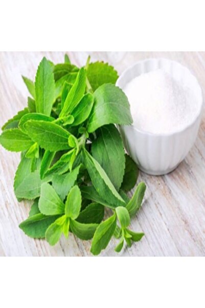 Mutlu Paket Doğal Stevia Şeker Otu Fidesi (5 Adet)