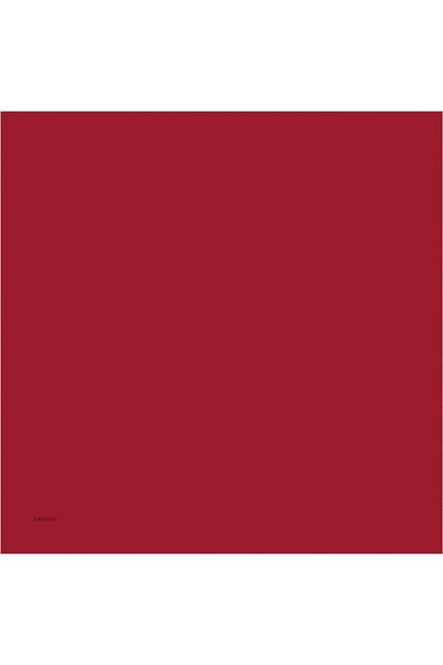 Armine Red Women's Scarf - Plain Painted
