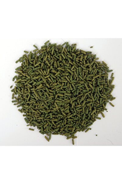 AMORE Turtle Sticks 1000ml Kaplumbağa Ve Sürüngen Yemi 400g