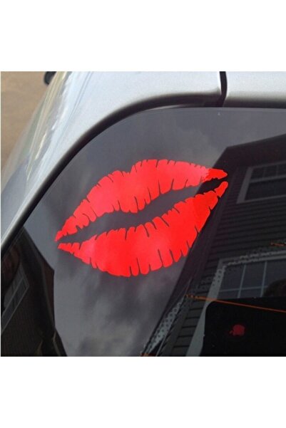 TSC ملصق سيارة كيس لاصق 2 قطعة