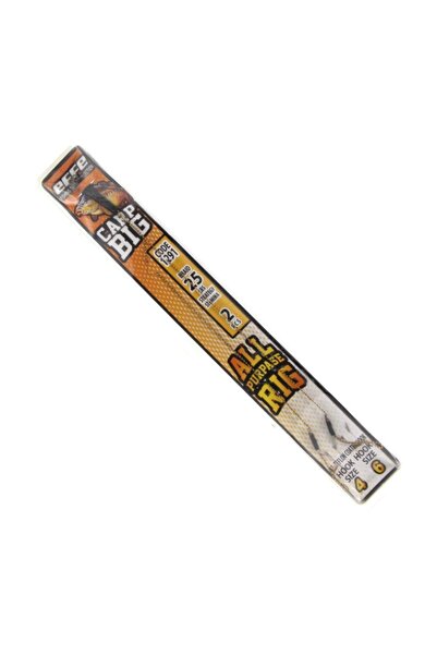 EFFE Boili Carp Big İğneli Hazır Takım 2P Size:4-6