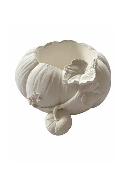 Liyasya Dekoratif Balkabağı  Beton Saksı 15*7 cm Boyasız