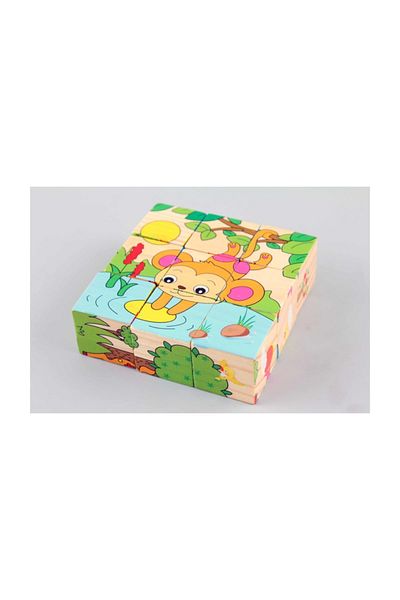 Learning Toys Wooden Puzzle Cubes