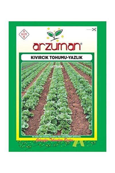 Arzuman Tohum Kıvırcık Marul Tohumu