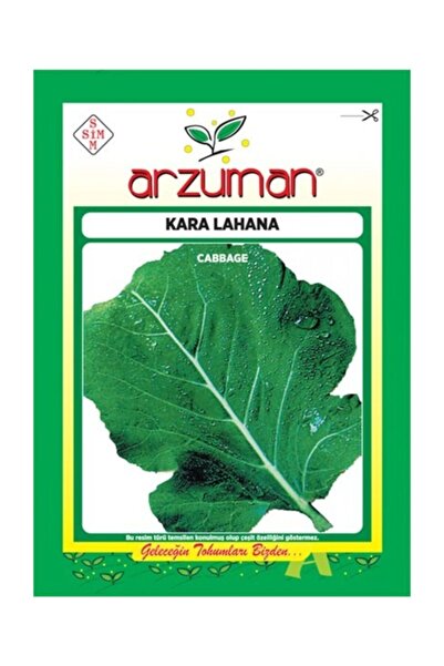 Arzuman Tohum Yaprak Lahana Tohumu