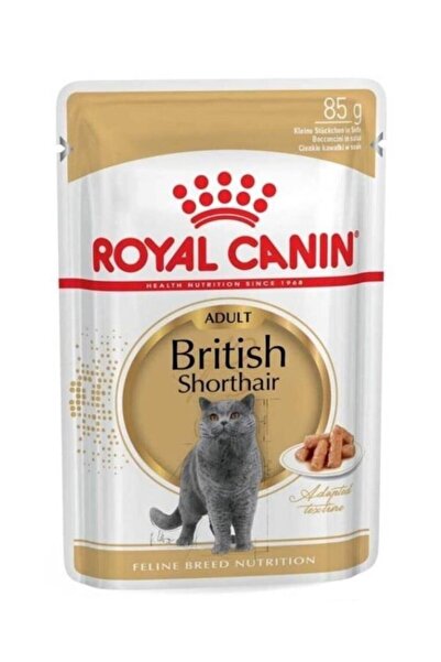 Royal Canin British Shorthair Yaş Kedi Maması 85 Gr 12 Adet