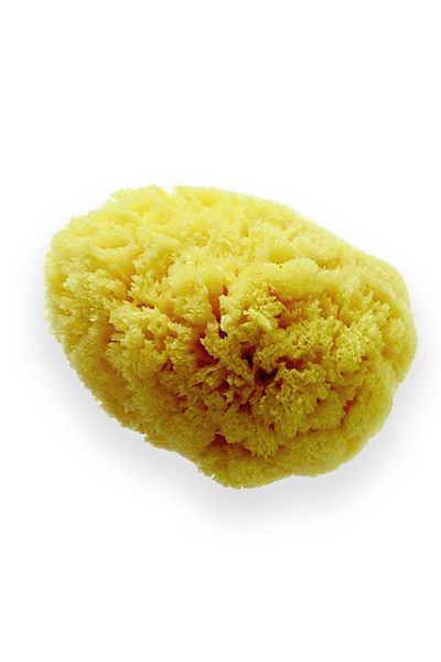 BAZAAR 4 Natural Sea Sponge 15-20 gr S006