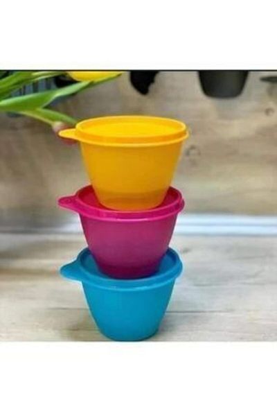 Tupperware Colorful Refrigerator Containers