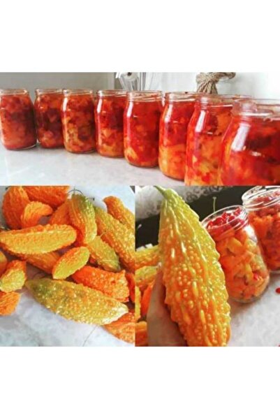 ŞİFAGIDA Kudret Narı Zeytin Yağlı Ev Yapımı 380cc Kavanozlarda ( Mide Hastala...