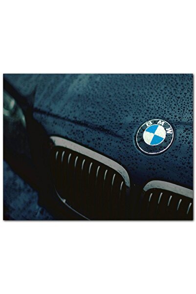 Cakatablo Ahşap Tablo Bmw Logo Ve Yağmur Damlaları (35x50 Cm Boyut)