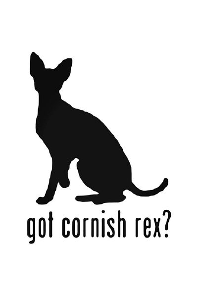 Universal Έχω αυτοκόλλητο Cornish Rex Cat Αυτοκόλλητο Αυτοκόλλητο Τοίχου Αυτοκινήτου 20cm