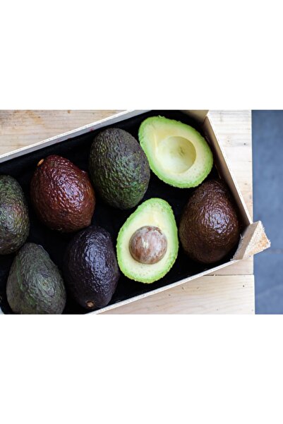 Antalya Avokado Hass Avokado 220 - 280 gr