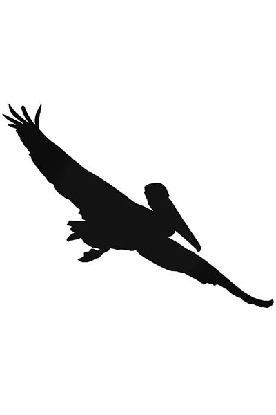 Universal Αυτοκόλλητο Pelican Bird Αυτοκόλλητο Αυτοκόλλητο Τοίχου Αυτοκινήτου 20cm