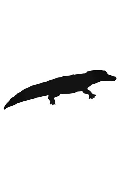 Universal Αυτοκόλλητο Violent Alligator Αυτοκόλλητο Αυτοκόλλητο Τοίχου Αυτοκόλλητο Αυτοκόλλητο Σπιτιού Διακοσμητικό Αυτοκόλλητο 20cm