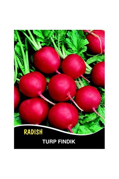 Turp Tohumu Fındık Cherry Belle - 10 G (~ Takribi 600 Tohum)