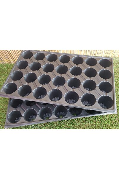 Doğalsan Tarım Fide Viyolü 28 Göz 3 Adet Fide Viyol Fide Viyolleri Fide Yetiş...