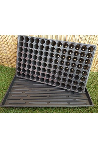 Doğalsan Tarım 5 Adet 104 Göz Fide Viyolü + 5 Adet Fide Viyolü Tepsisi Fide V...