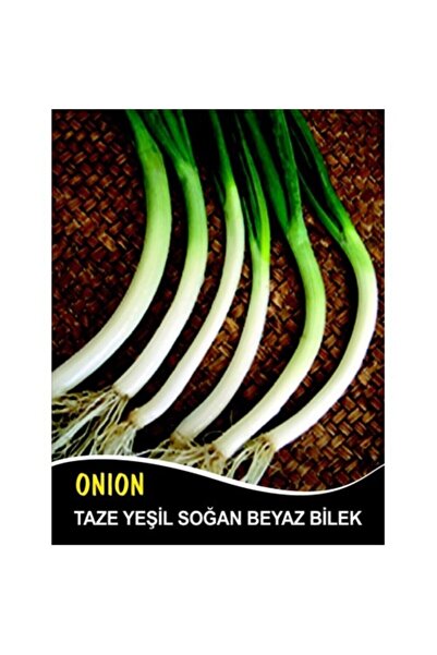 Soğan Tohumu Demet Yeşil - 5 G (~ Takribi 900 Tohum)