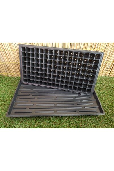 Doğalsan Tarım 5 Adet 128 Göz Fide Viyolü + 5 Adet Fide Viyolü Tepsisi Fide V...