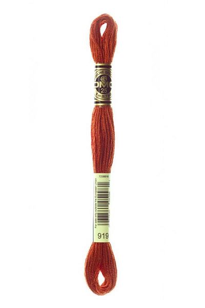 Dmc Muline Embroidery Thread - 919