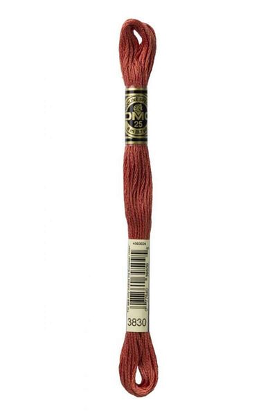 Dmc Muline Embroidery Thread - 3830