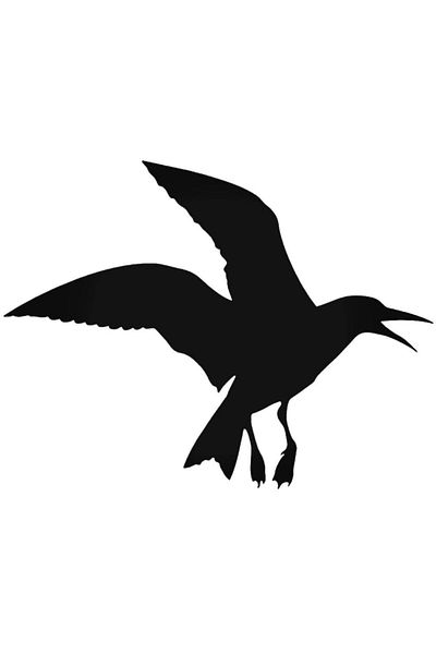 Universal Αυτοκόλλητο Seagull Αυτοκόλλητο Αυτοκόλλητο Τοίχου Αυτοκινήτου 20 εκ