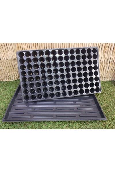 Asenya 4 Adet 104 Göz Fide Viyolü Ve 4 Adet Fide Viyol Tepsisi Fide Viyolleri...