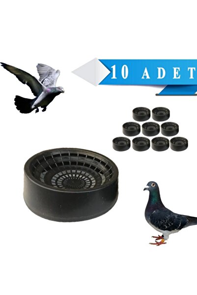 Genel Markalar Folluk Güvercin Folluğu Delikli Oval 10 Adet Plastik Yumurtalı...