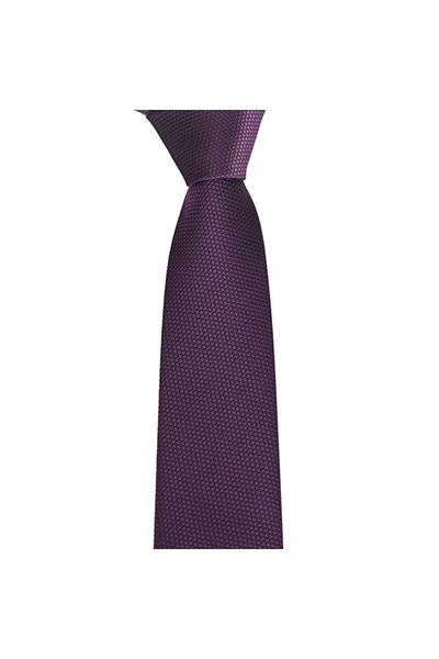 Brianze Men's Purple Handkerchief Tie Smdk-23