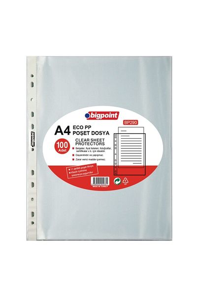 Bigpoint Bag File Eco 30 Micron 100 Pack