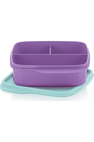 Tupperware Compartmented Nutrition Purple