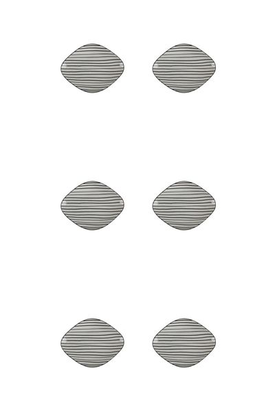 Porland Hope Flat Plate 19cm Set of 6