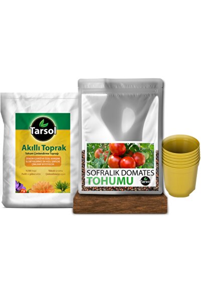 TARSOL TARIM Sofralık Domates Tohumu 30 Adet Toprak Ve Saksı Seti