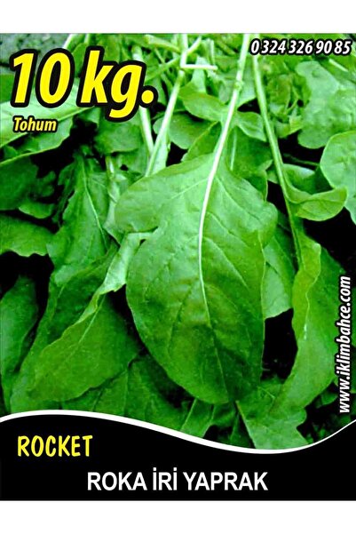 Genel Markalar Roka Tohumu Toros Iri Yaprak - 10 Kg
