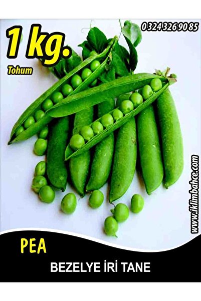 İBK İklim Bahçe Bezelye Tohumu Utrillo Araka Iri Tane - 1 Kg