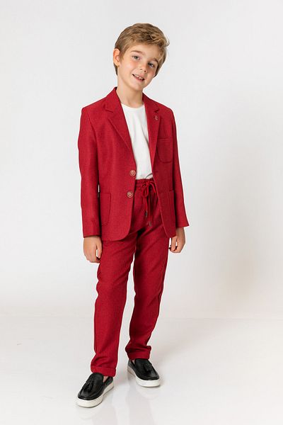 incity Boy's Burgundy Trousers
