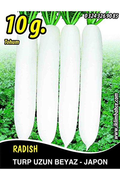 Turp Tohumu Uzun Beyaz (japon) 10 G. (~ Takribi 600 Tohum)