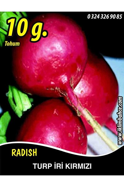 Turp Tohumu Toros Kırmızısı - 10 G (~ Takribi 600 Tohum)
