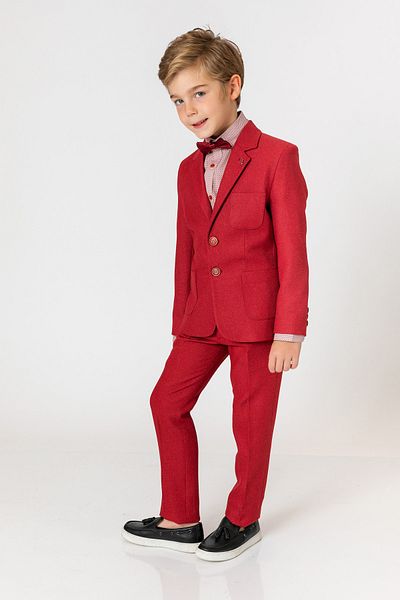 incity Boy's Burgundy Trousers