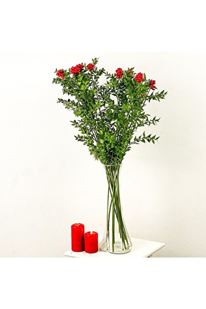 SMY HOBİHANEM Canlı Yılbaşı Çiçeği Şans Bitkisi Kokina 2 Demet 12 Dal