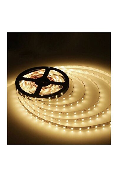 Cata 5 Metre 12 Volt 10 Çipli Dış Mekan Gün Işığı Şerit Led (ct-4488)