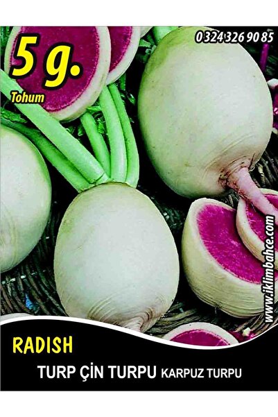 Turp Tohumu Çin Turpu 5 G (~ Takribi 300 Tohum)