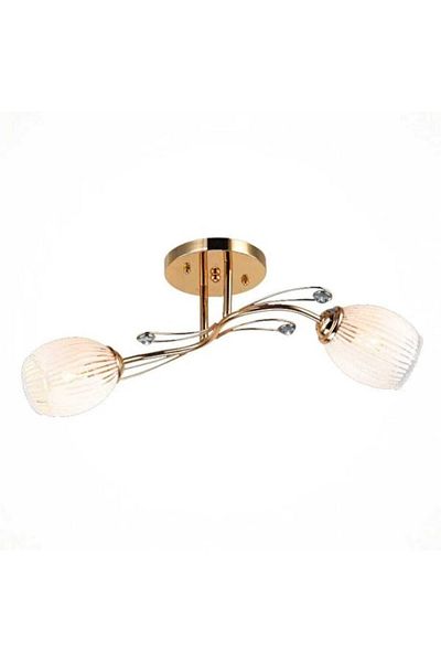 BAM BAM TİCARET Chandelier Gold Double