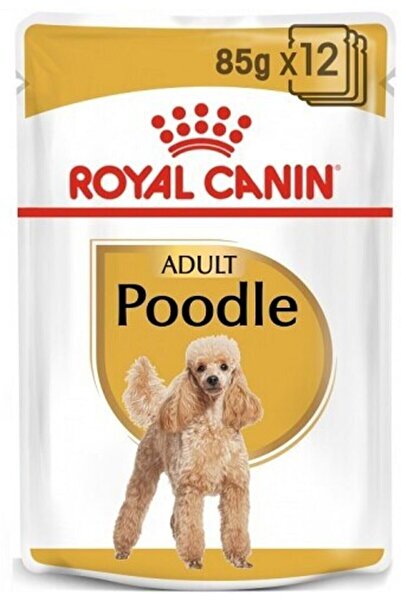 Royal Canin Poodle Köpek Pounch Yaş Mama 12x85 Gr
