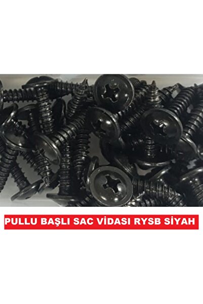 CEKSAN Sac Vidası Rysb Pullu Başlı Siyah Vida 3.5x9.5mm 50 Adet
