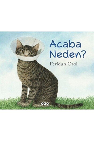 Yapı Kredi Yayınları هل تتساءل لماذا؟