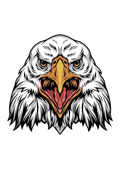 MegaSticker ملصق كارتال إيجل أوتو، دراجة نارية، خوذة، كمبيوتر محمول 15x14 سم